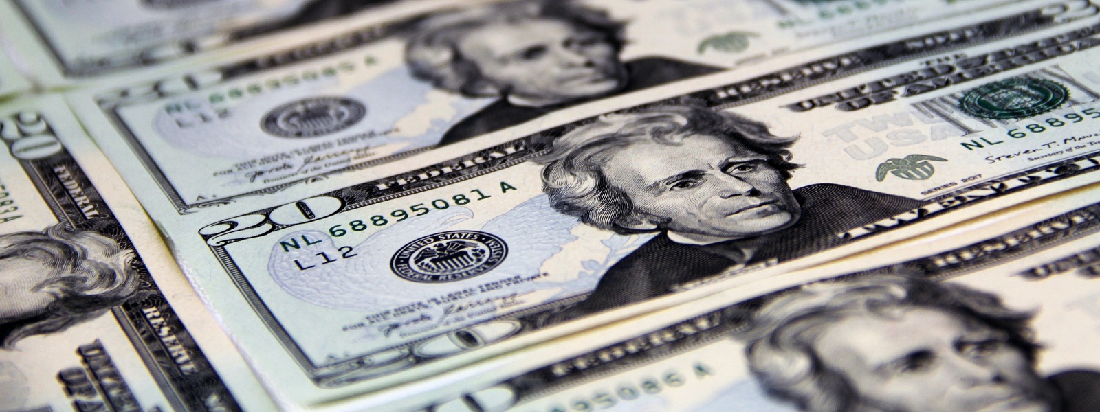 $20 dollar bills